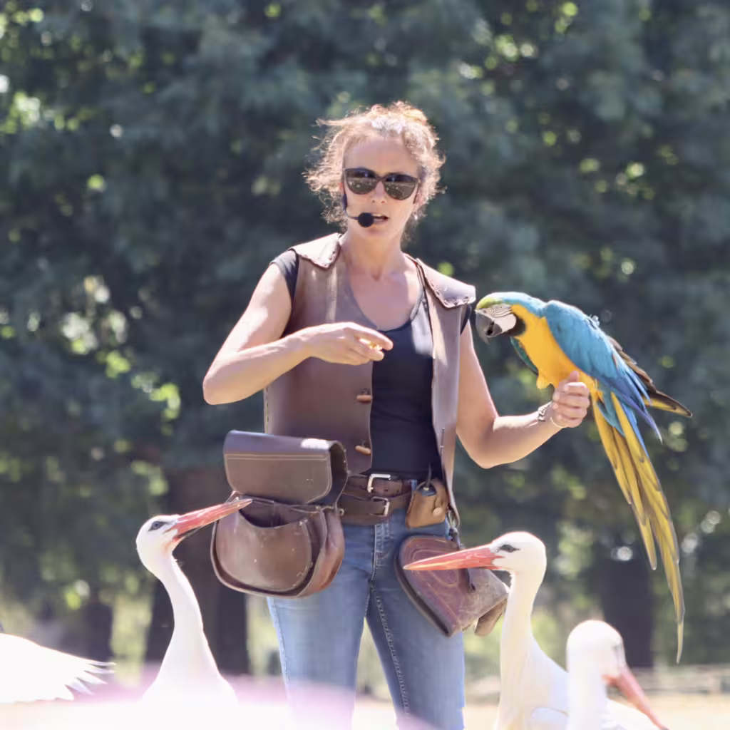 A zookeeper at Parc de Branféré holding a parrot