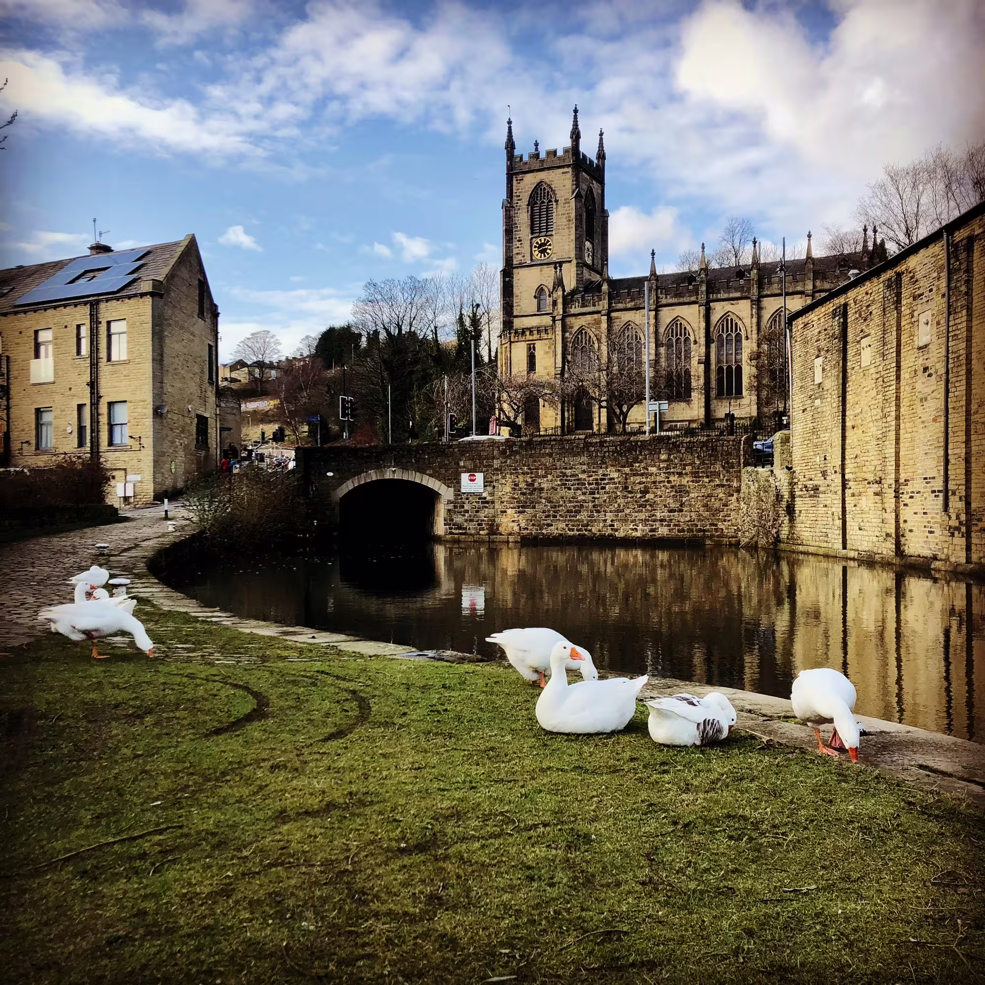 A photo the Rochdale Canal at Sowerby Bridge, with some geese in the foreground and a church in the background.