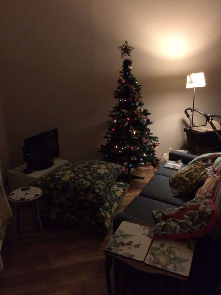 A photo of our living room, with a sofa, TV and Christmas tree