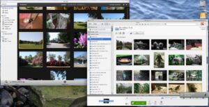 A screenshot showing iPhoto on the left and Picasa on the right, on Mac OS X