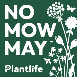No Mow May logo
