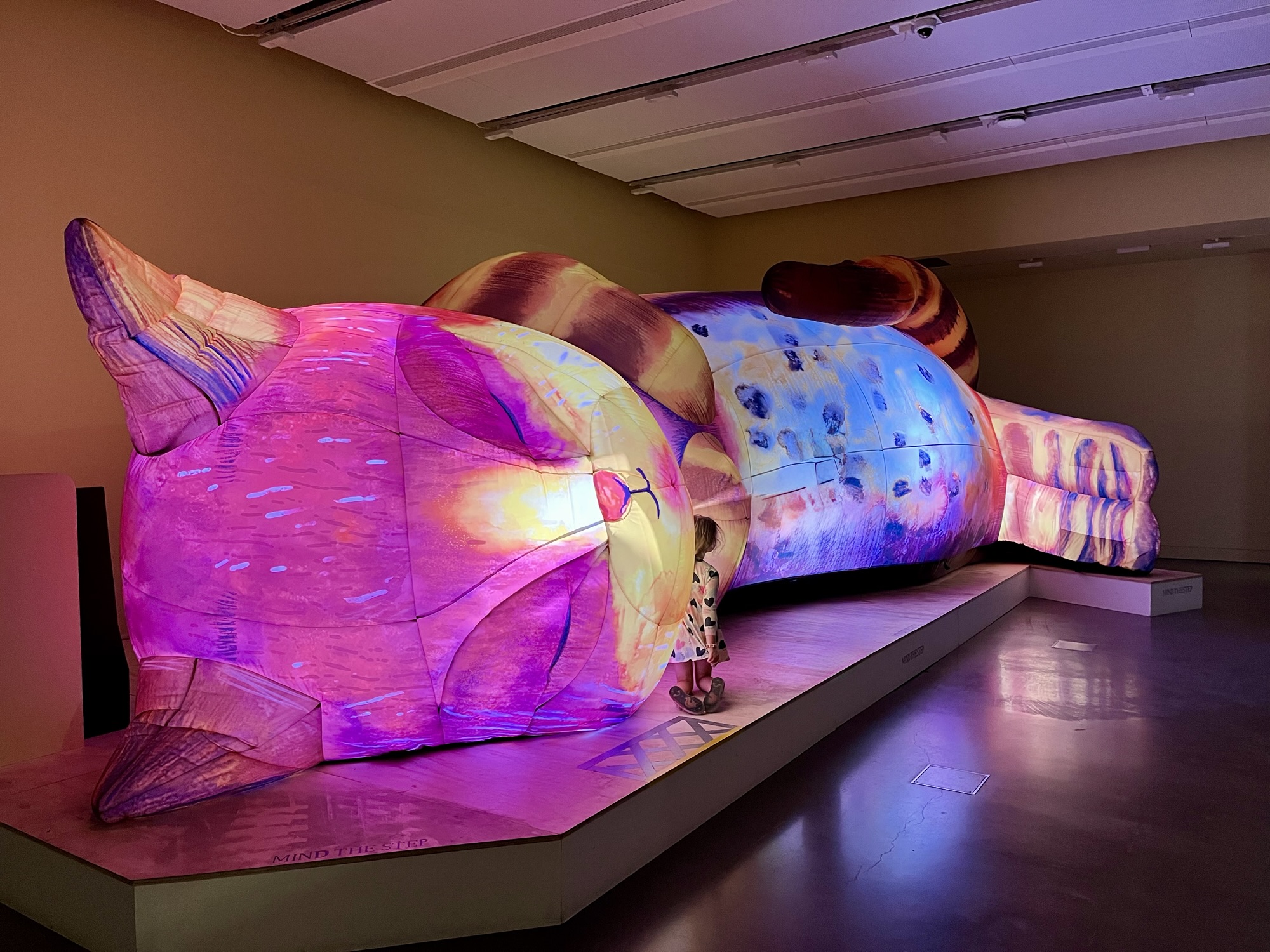 A photo of The Cat That Slept for a Thousand Years