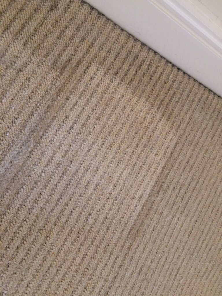 The Rug Doctor - before and after