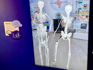 Our family of three appearing as skeletons at the Operation Ouch: Brains Bogeys and You exhibition