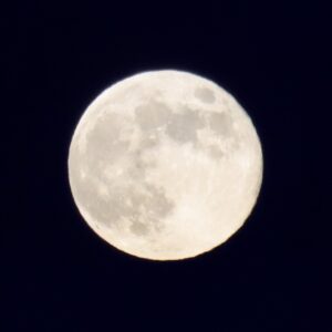 A photo of January's 'Wolf Moon', taken by me in Derbyshire