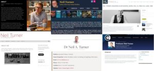 An amalgamated screenshot of web sites about other people with the name Neil Turner